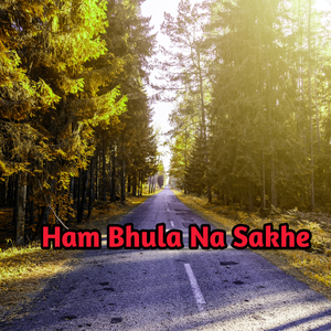 Hum Bhula Na Sakhe (Instrumental Version)