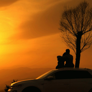 光，或别的答案