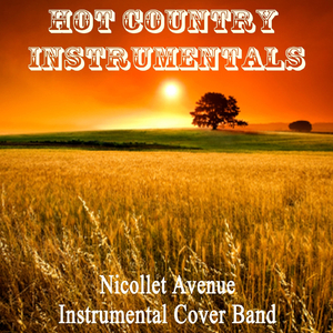 Glad You Exist (Instrumental Version)