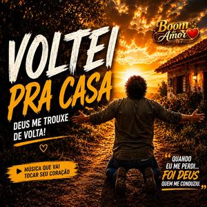 Voltei pra casa