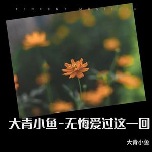 无悔爱过这一回