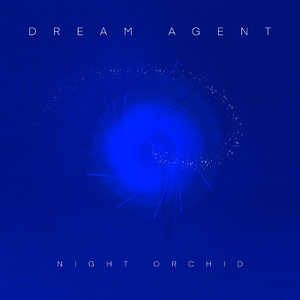 Night Orchid