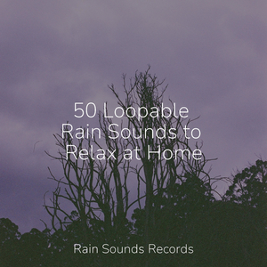 Midnight Lull of the Sewers