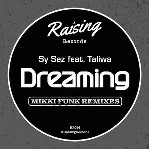 Dreaming (Mikki Funk Vocal Mix)