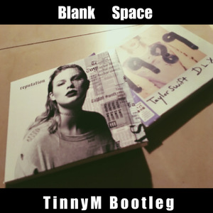 0-Blank Space（TinnyM Remix）