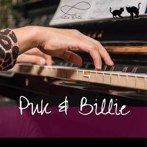 Wat doen Puk & Billie op het aanrecht?!