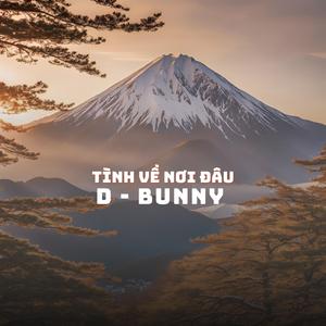 Tình Về Nơi Đâu