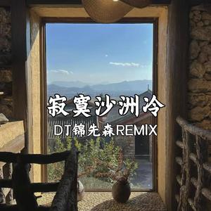 寂寞沙洲冷（DJ锦先森 Remix）