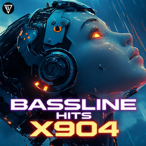 Bassline Hits(Extended)