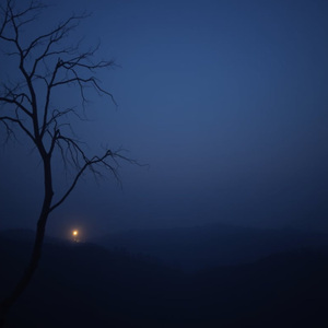 Delicate Sound for Calm