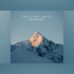 Twilight Drift
