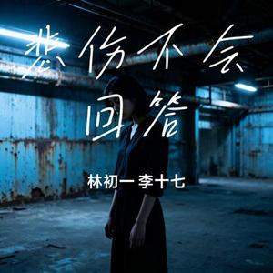 悲伤不会回答