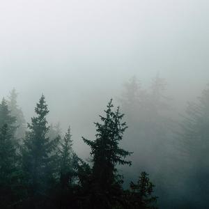 Dense （Jazz/ Pop Type Beat）