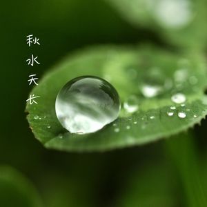 山水之间 (竹笛)