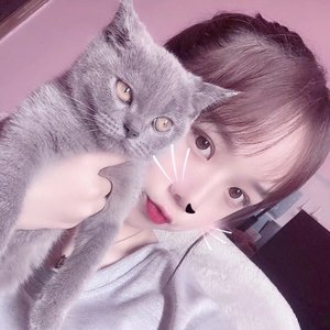 天上人间极品社会摇 (DJ版)