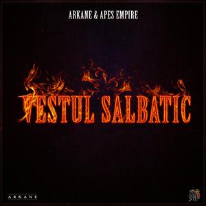 Bagabontii (feat. Maili, Maidan, 99, Houdini, Cartier & Cretzu)