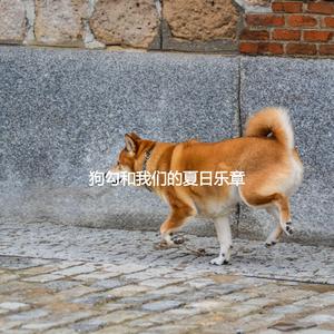 Background for Morning Things