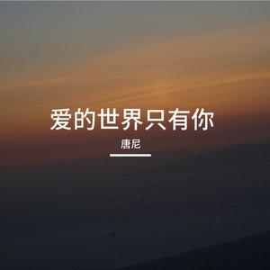爱的世界只有你
