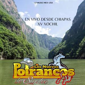 Como chocolate-Los Nuevos Potrancos de Sinaloa en vivo desde Chiapas (En vivo)