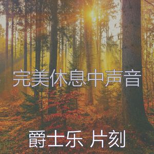 安静的休息中声音