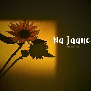 Na jaane