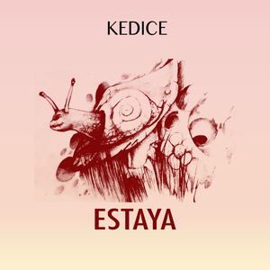 Se Puede (feat. Mare Advertencia Lirika)