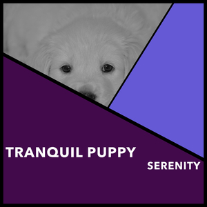 Puppy Meditation Music for Sleep