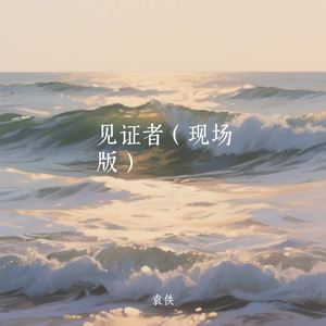见证者（现场版）