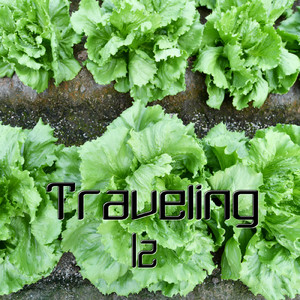 Traveling