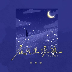 夜风里流浪 (DJ版)