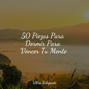 Disciplina De Entrenamiento