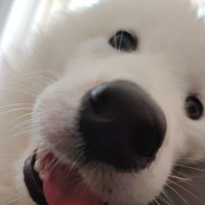 秋叶（爵士钢琴改编练习）