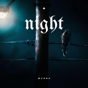 Night