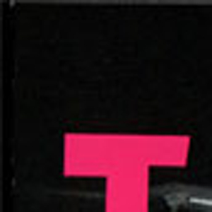 Tiptoe Through The Tulips