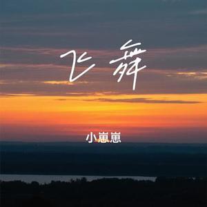 飞舞 (Cover 王冰洋)