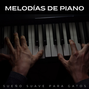 Estilo Instrumental
