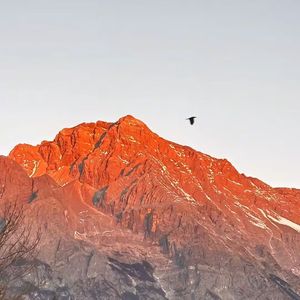 情不知所起-江 伴奏