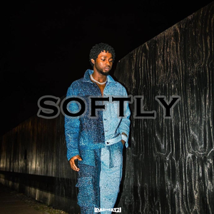 Free Chill Afro Type Beat “Softly”