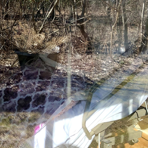 She Went In (And Never Came Out)