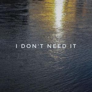 I don't need （Prod.by Flowless)