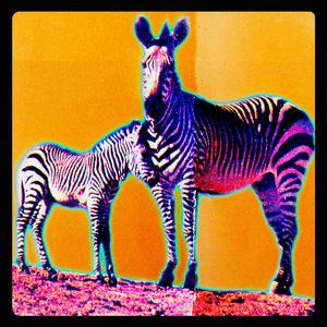 Matchsticks