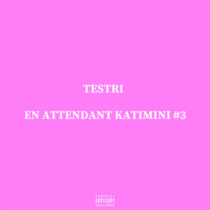 En Attendant Katimini #3