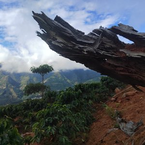 你是落日弥漫的橘，天边透亮的星