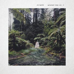 lost ball in the sea