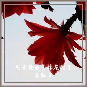 林花谢了春红