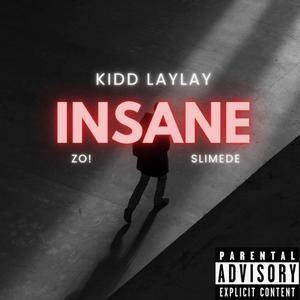 Insane (feat. Zo & SlimeDe)