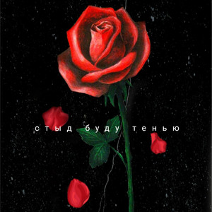 Буду тенью