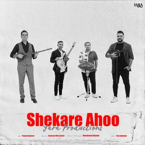 Shekare Ahoo