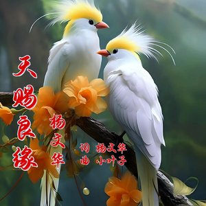 天赐良缘