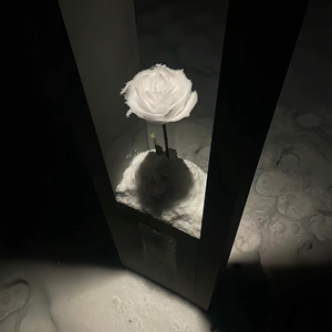 哦莫-Serato Recording 1（哦莫 remix）